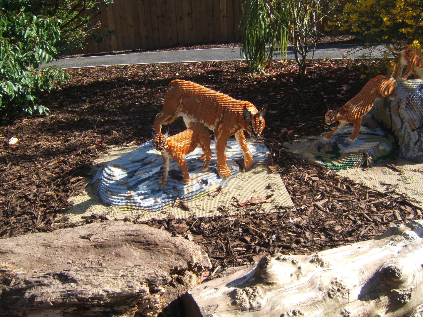 Lego Caracal 24/03/2019