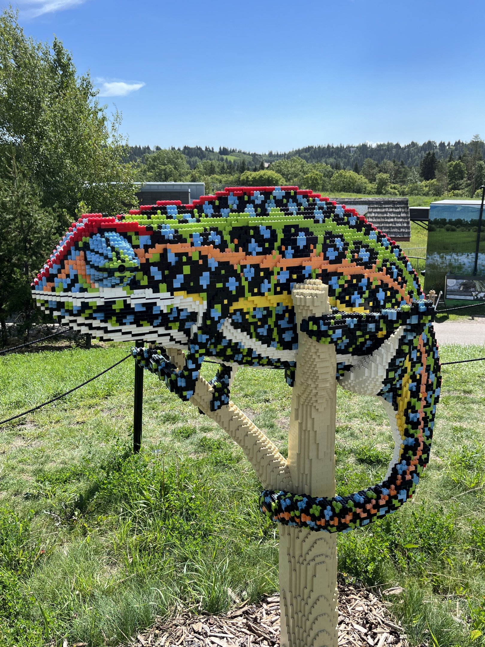 LEGO Chameleon
