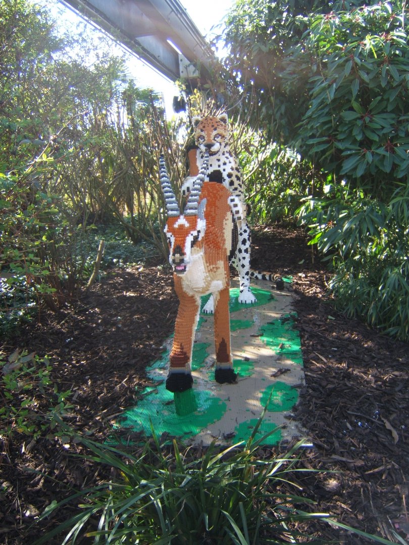 Lego Cheetah 24/03/2019