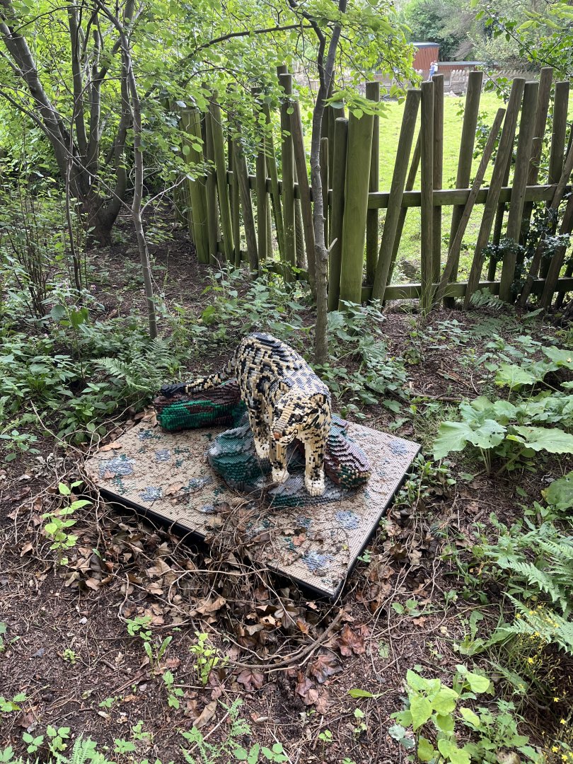 Lego clouded leopard  18.7.24