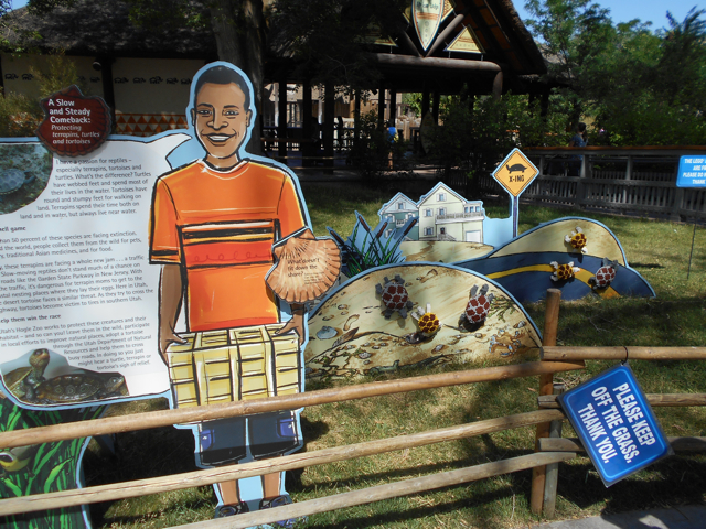 Lego diamondback tortoises