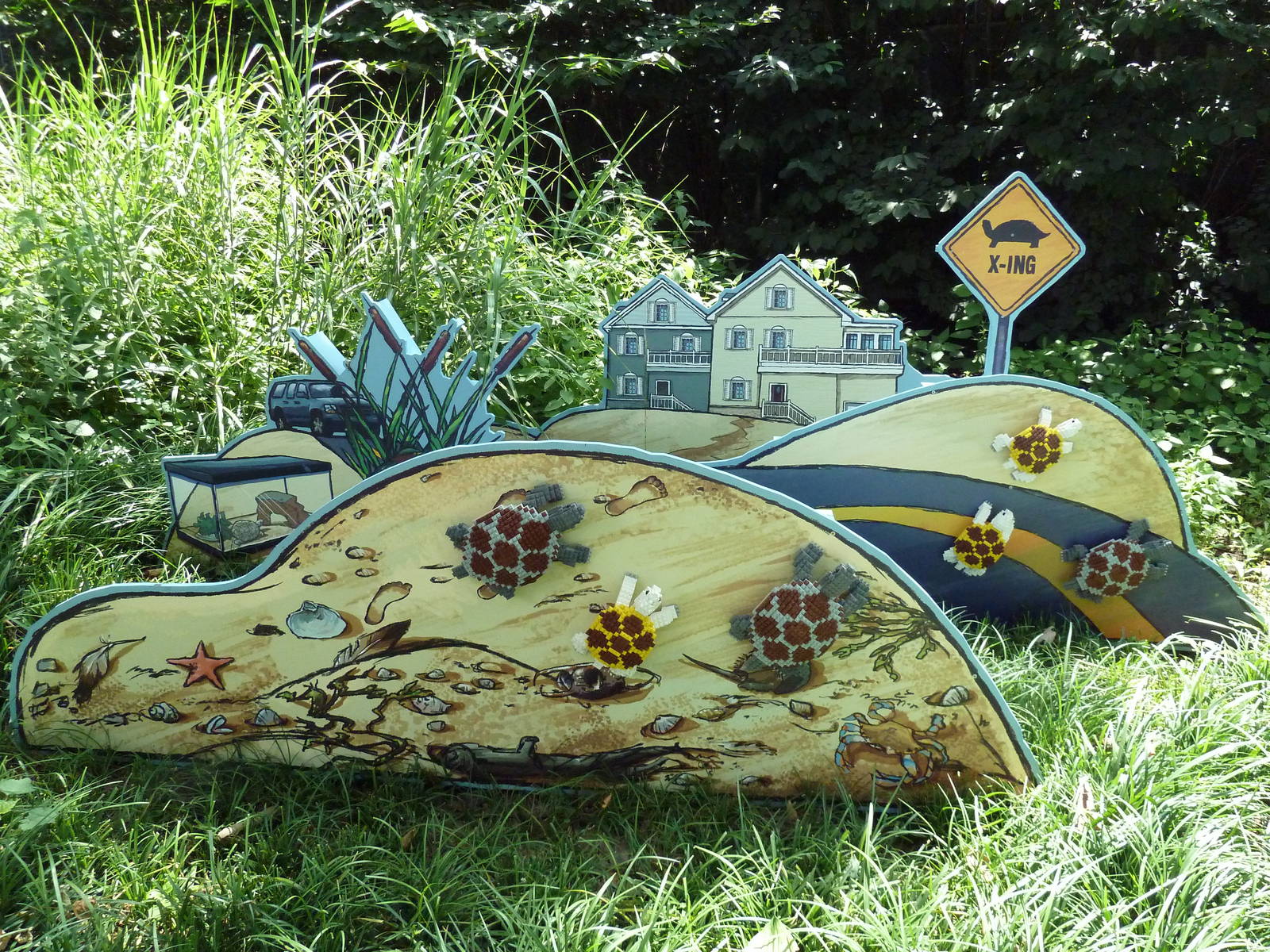 LEGO Display - Turtle Crossing