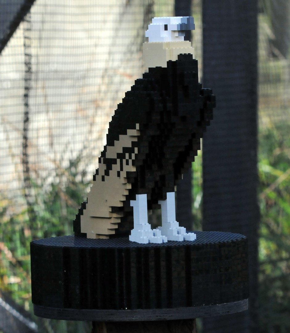 Lego European Black Vulture