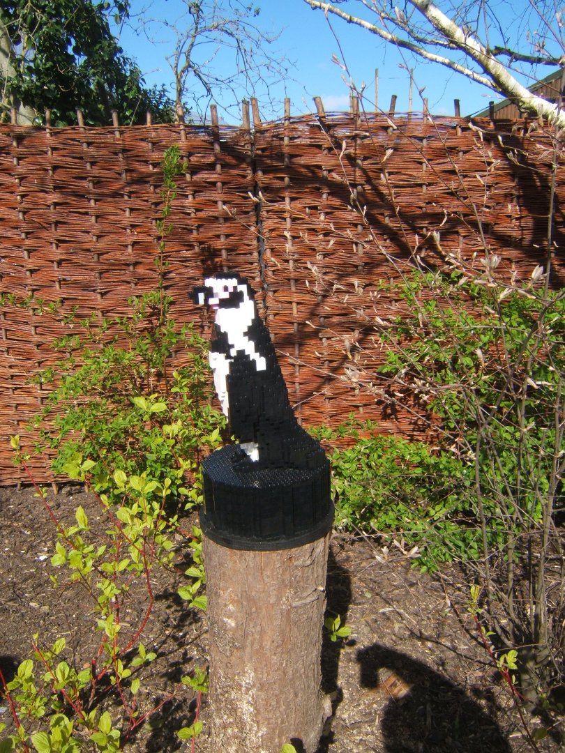 Lego Humboldt's Penguin 24/03/2019