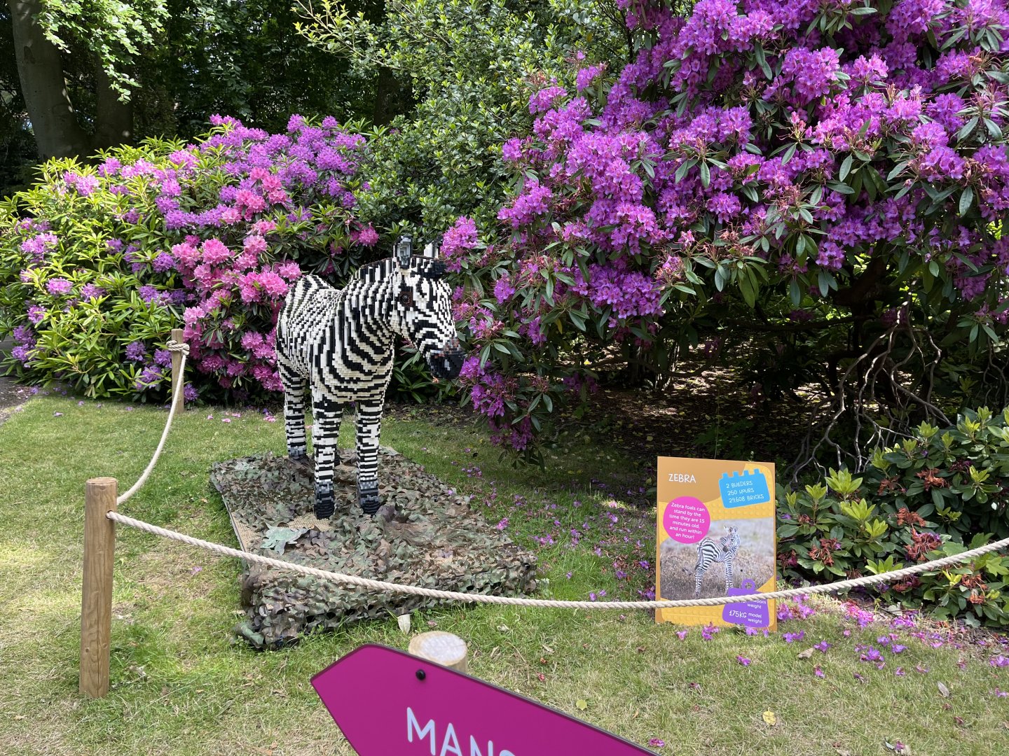 Lego sculpture 8.6.24