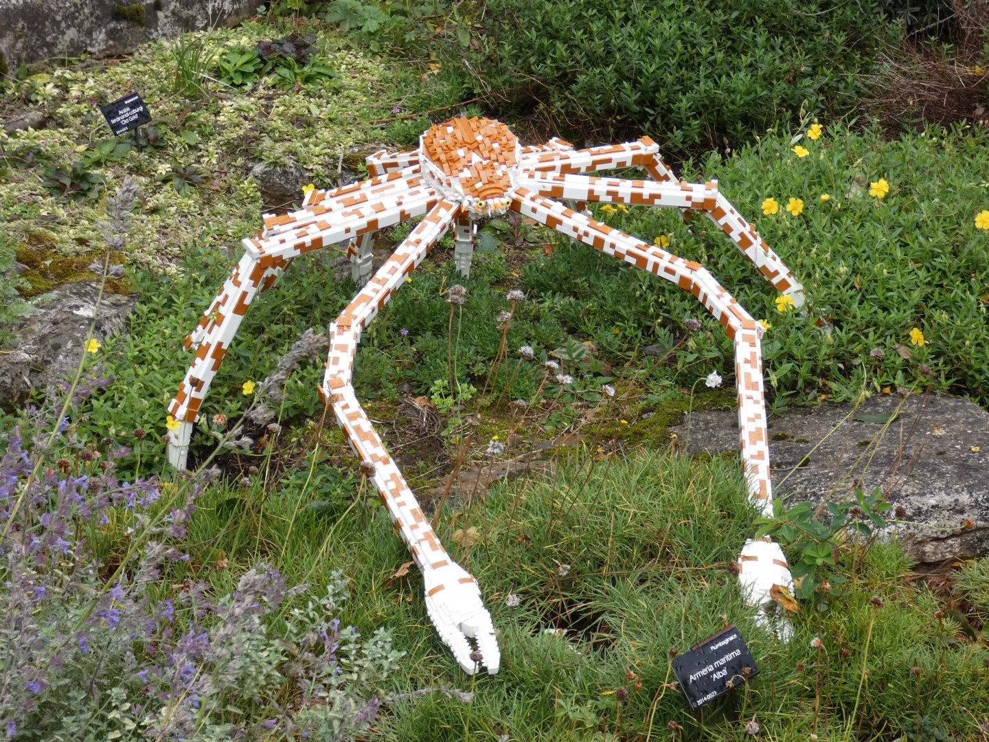 Lego Spider Crab