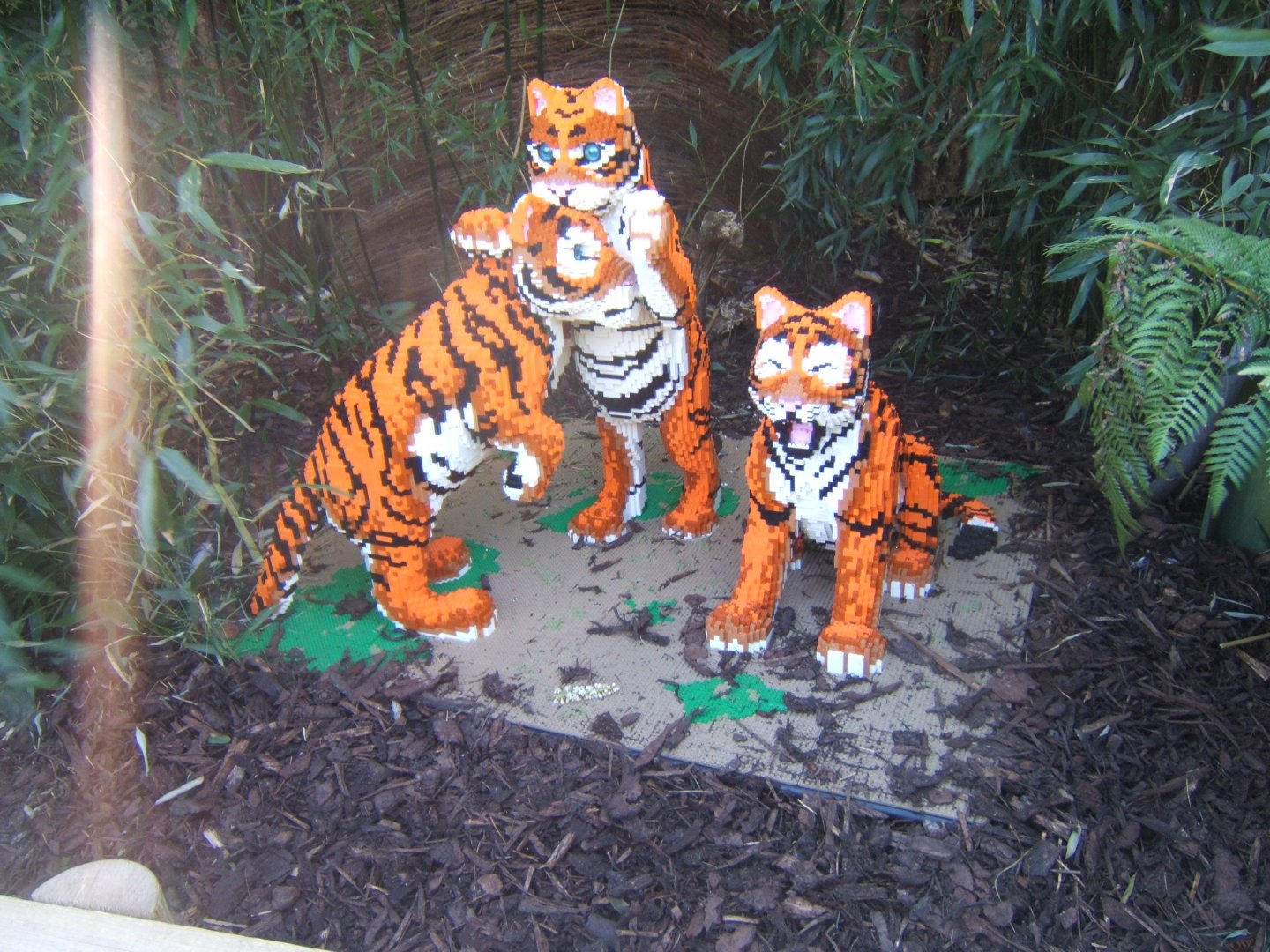 Lego Tiger cubs 24/03/2019