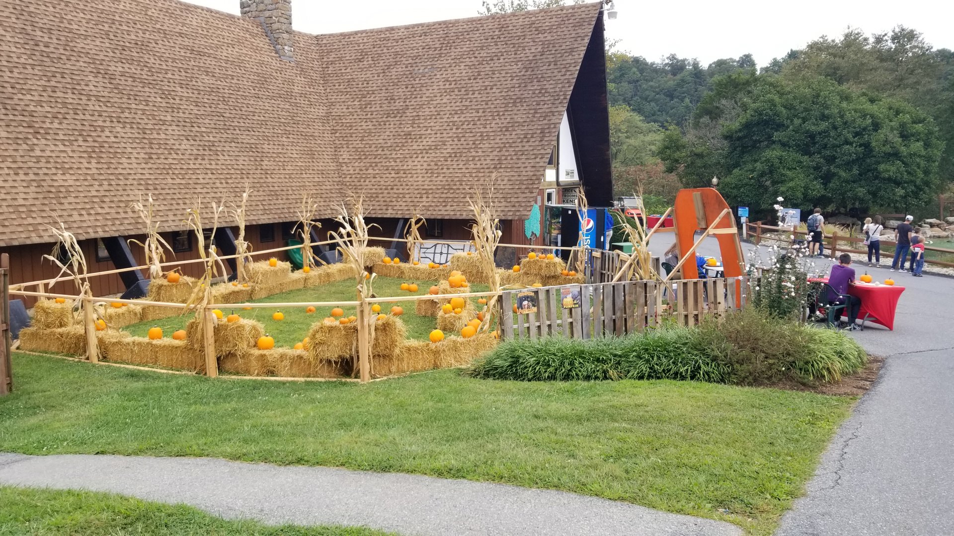 Lehigh Valley - Pumpkin picking
