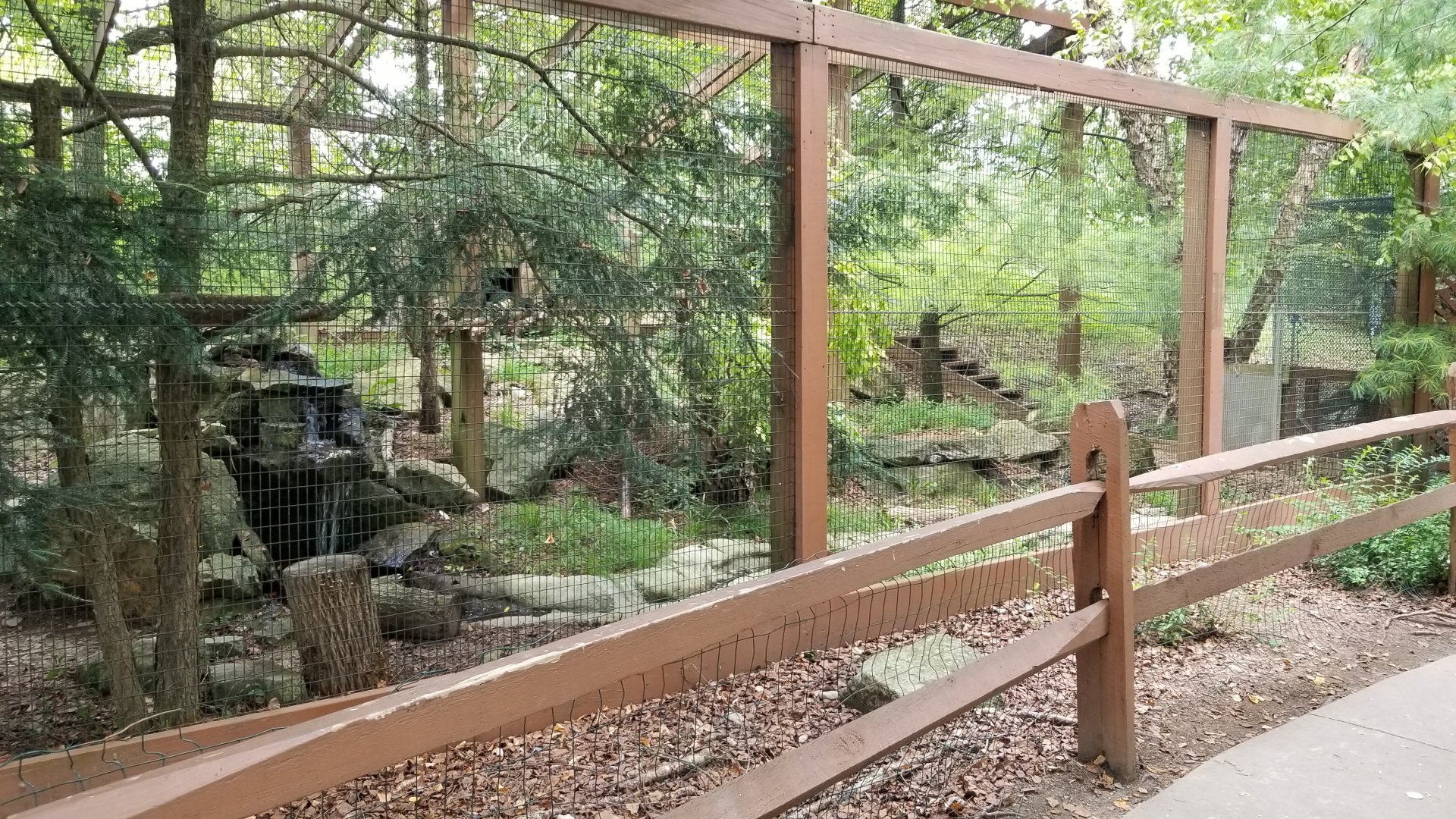 Lehigh Valley Zoo - bobcat exhibit