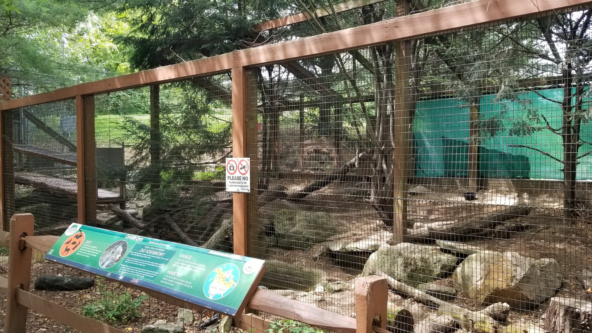 Lehigh Valley Zoo - Canada Lynx exhibit