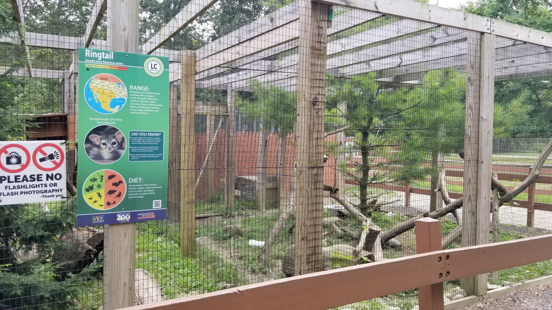 Lehigh Valley Zoo - fisher