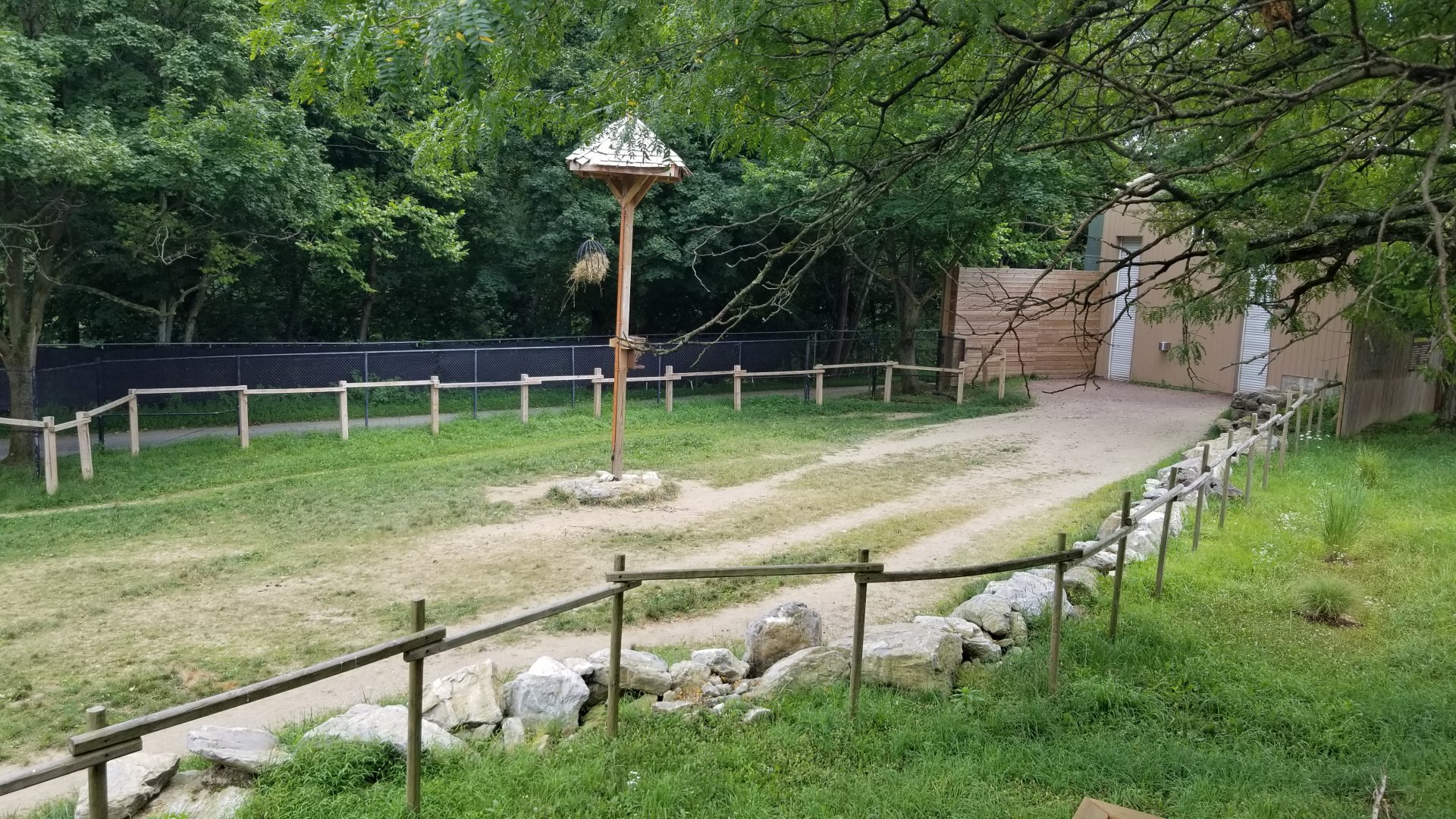 Lehigh Valley Zoo - Giraffe yard viewed from feeding platform