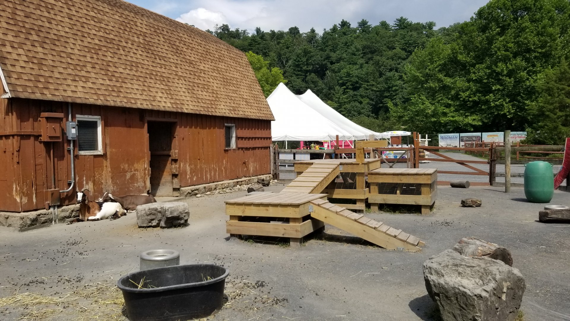 Lehigh Valley Zoo - goat yard