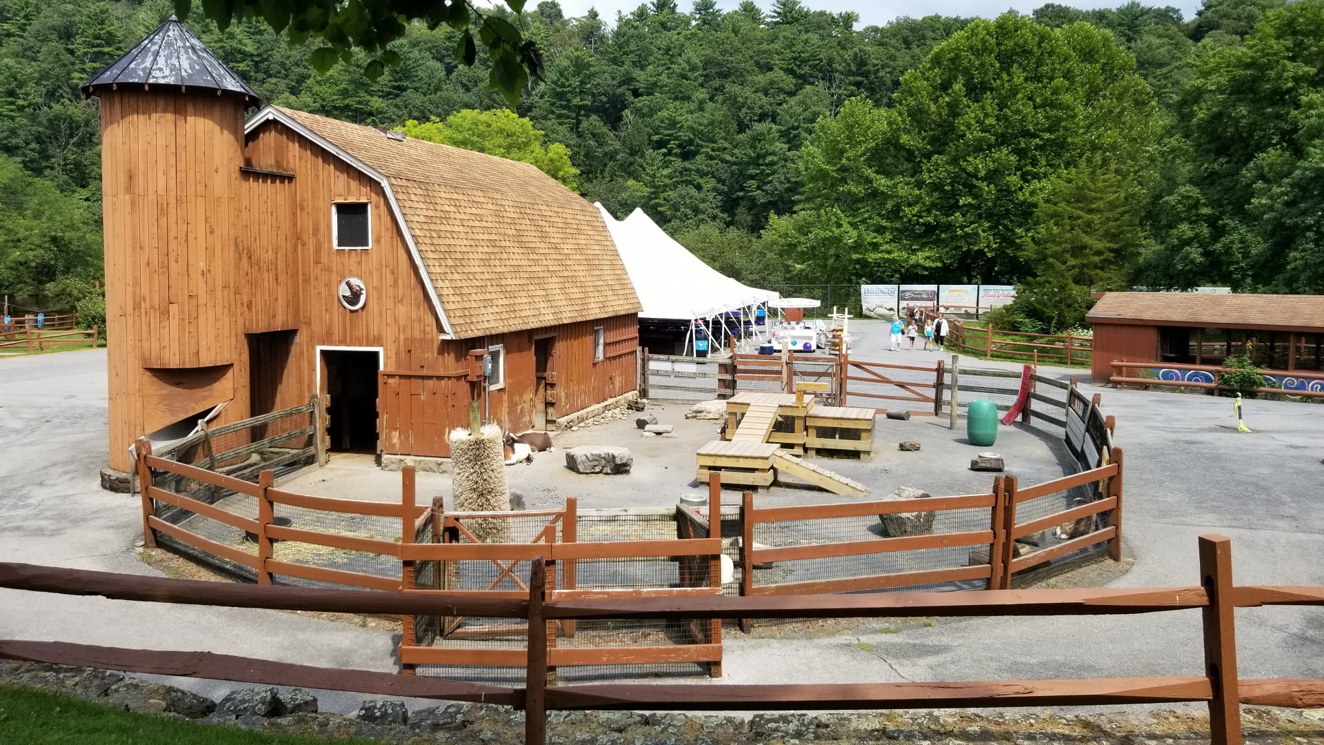 Lehigh Valley Zoo - goat yard