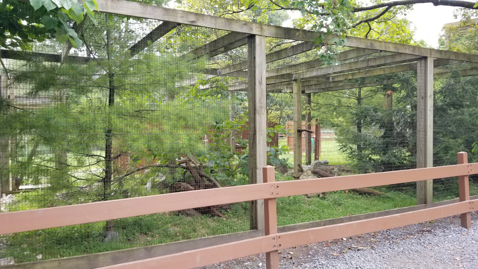 Lehigh Valley Zoo - gray fox exhibit