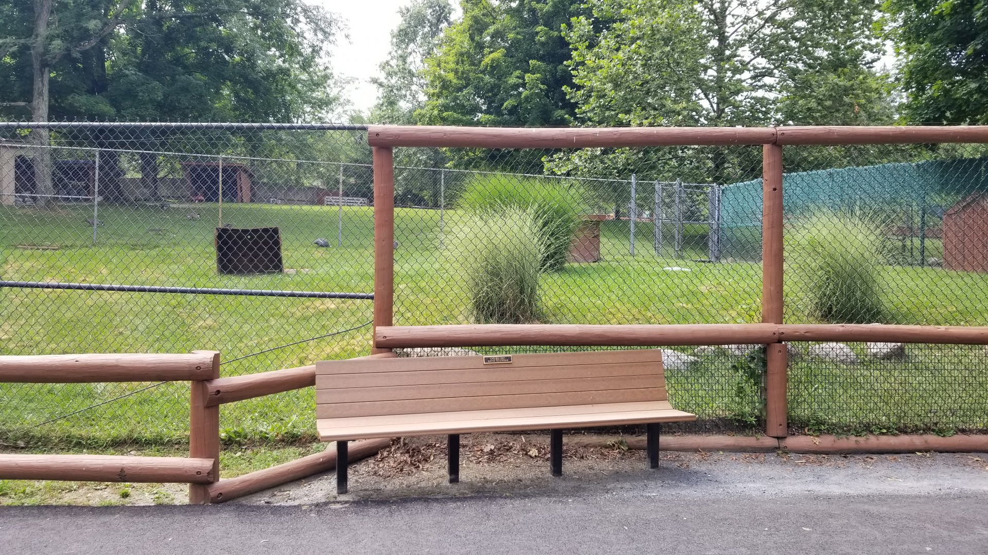 Lehigh Valley Zoo - helmeted guineafowl
