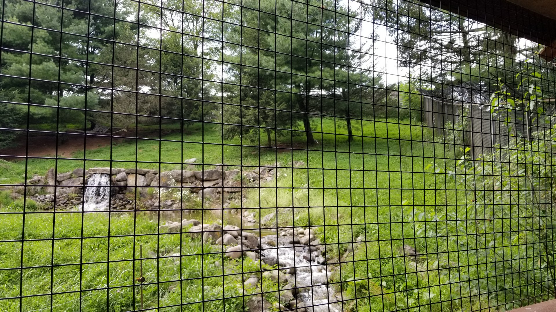 Lehigh Valley Zoo - Mexican grey wolf exhibit