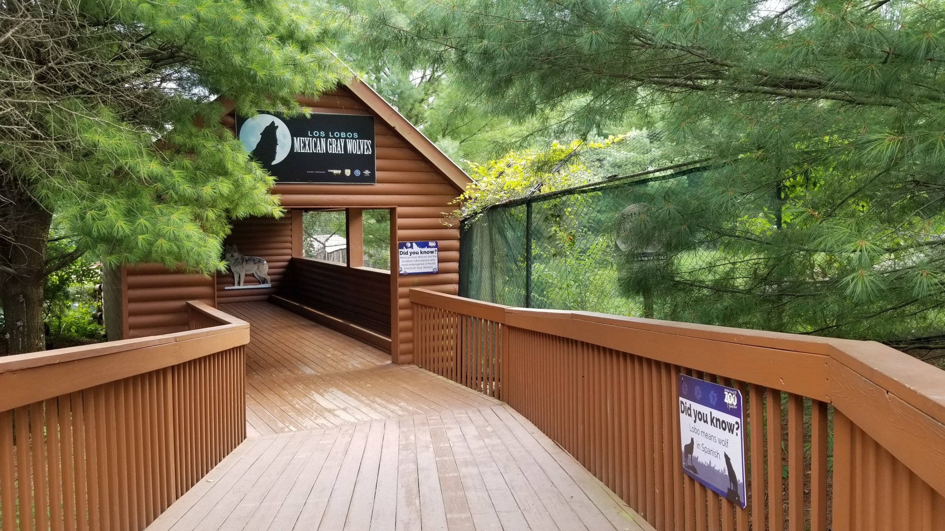 Lehigh Valley Zoo - Mexican Grey Wolf viewing area