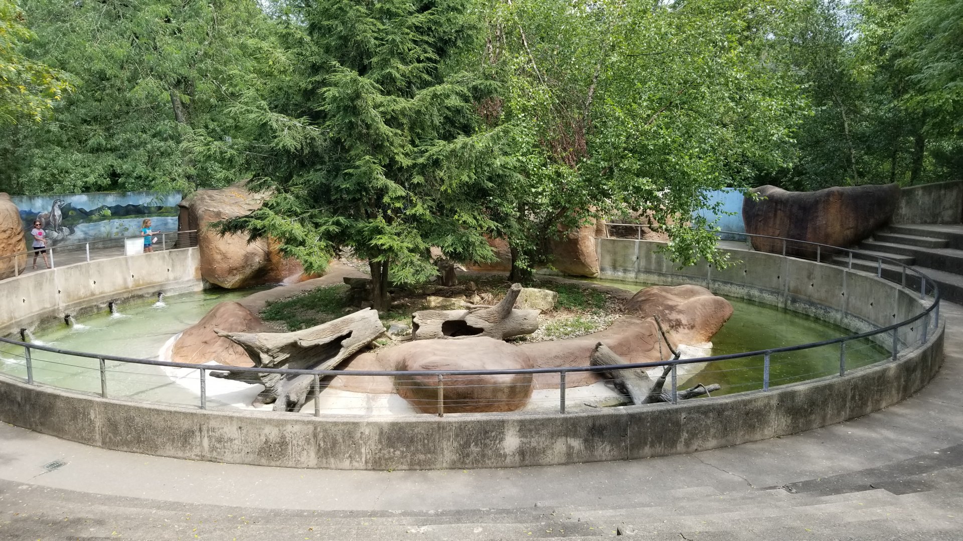 Lehigh Valley Zoo - north american river otters
