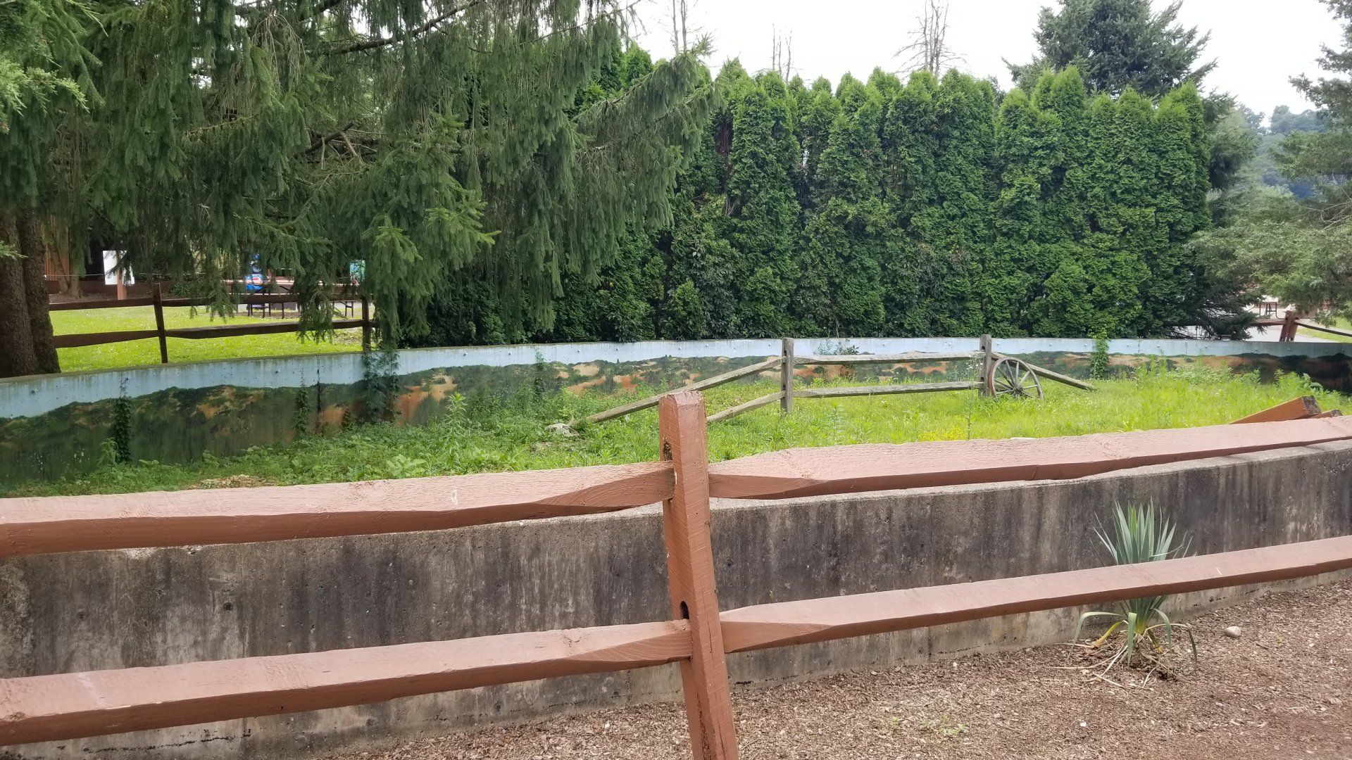 Lehigh Valley Zoo - old prairie dog exhibit, now empty
