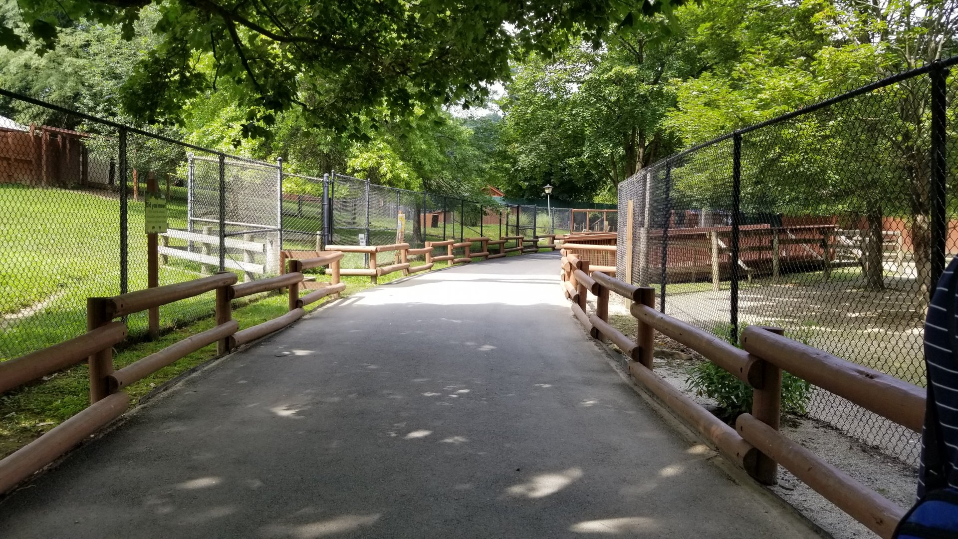 Lehigh Valley Zoo - path between hoofed areas, oryxes on left and zebras on right