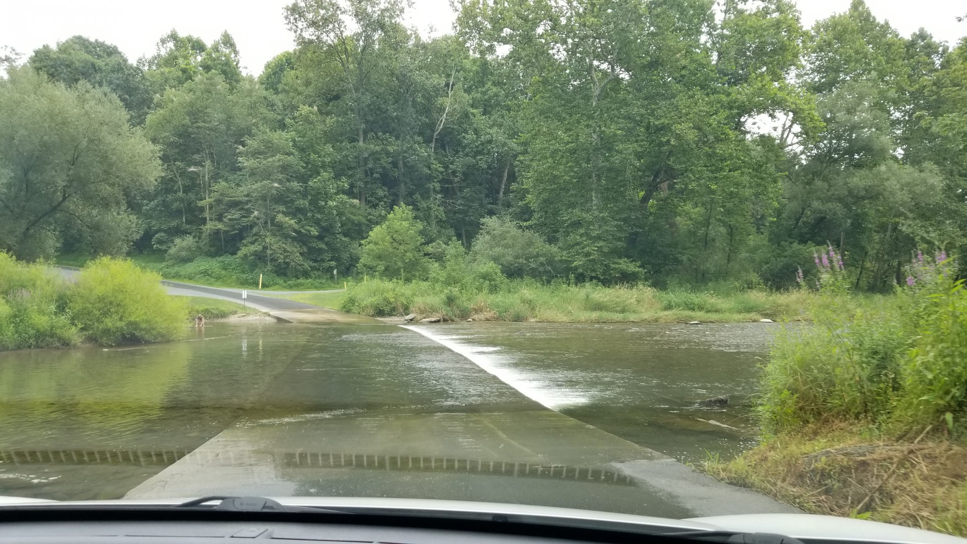 Lehigh Valley Zoo - road leaving the zoo