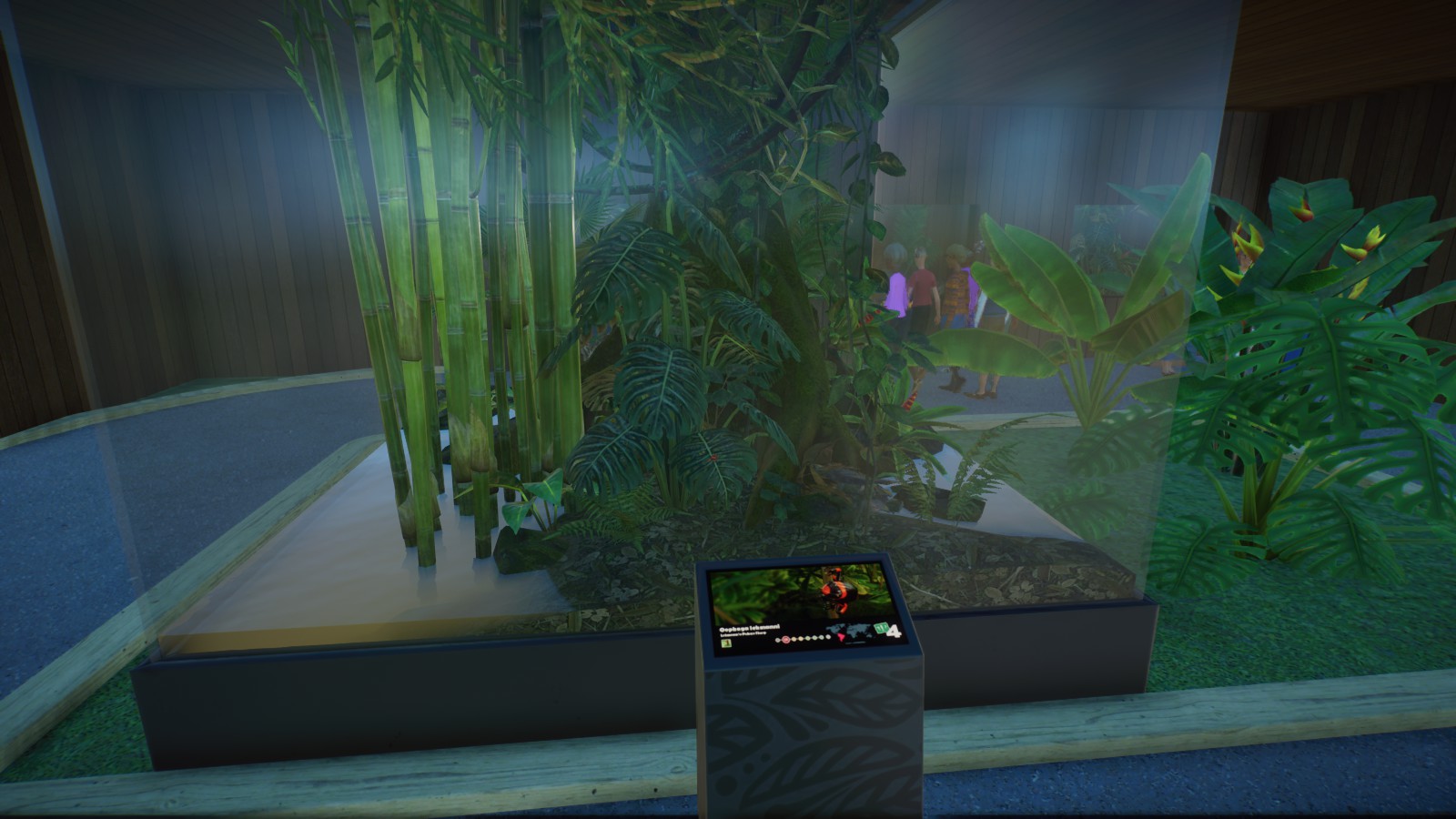 Lehmanns Poison Frog Tank