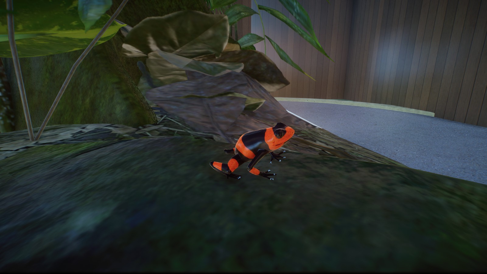 Lehmanns Poison Frog