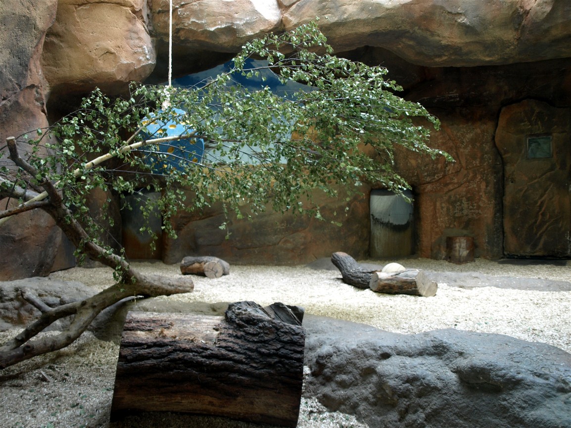 Leipig Zoo - Lion indoor exhibit