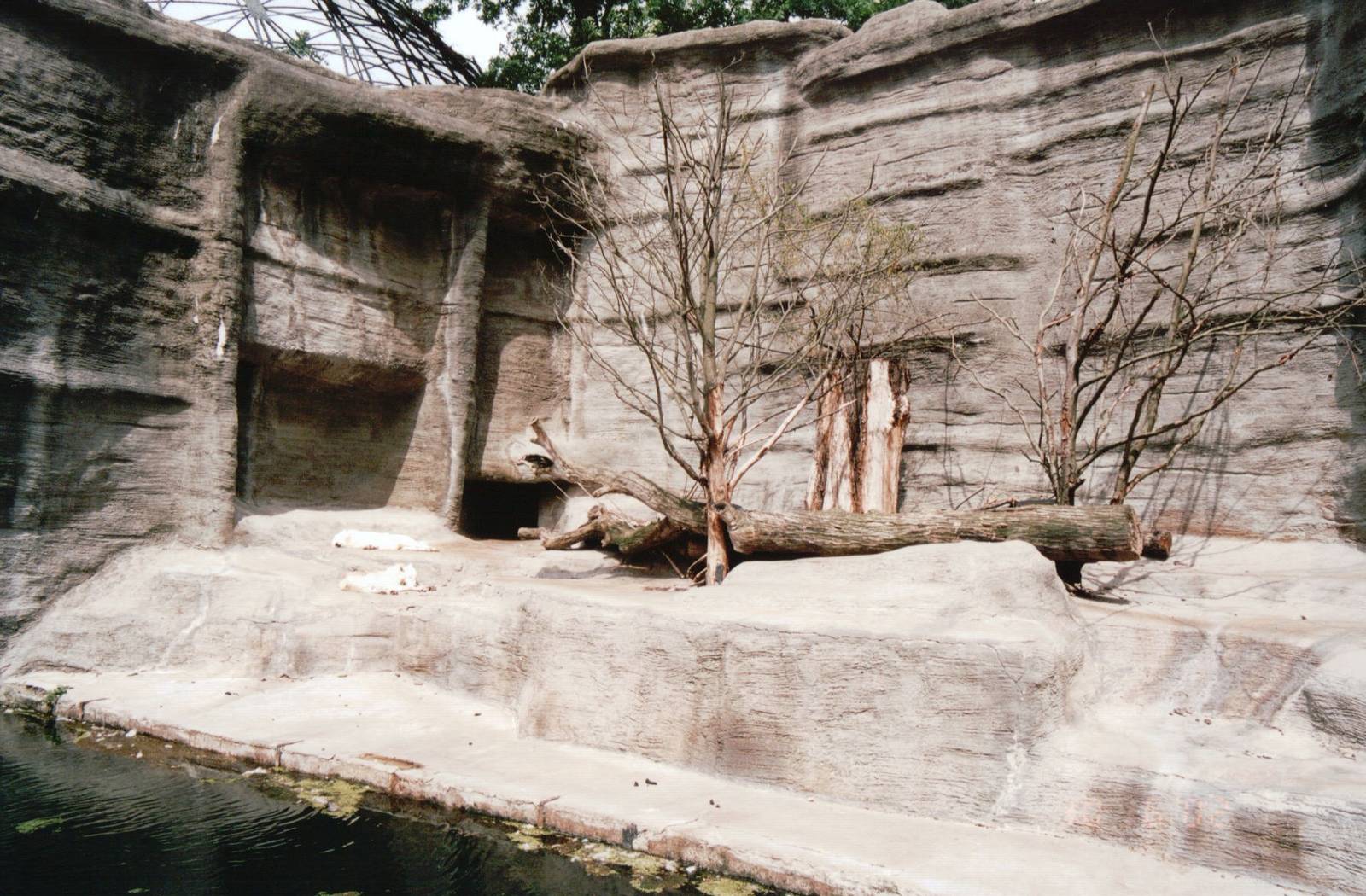Leipzig Zoo 2002 - Arctic Wolf exhibit