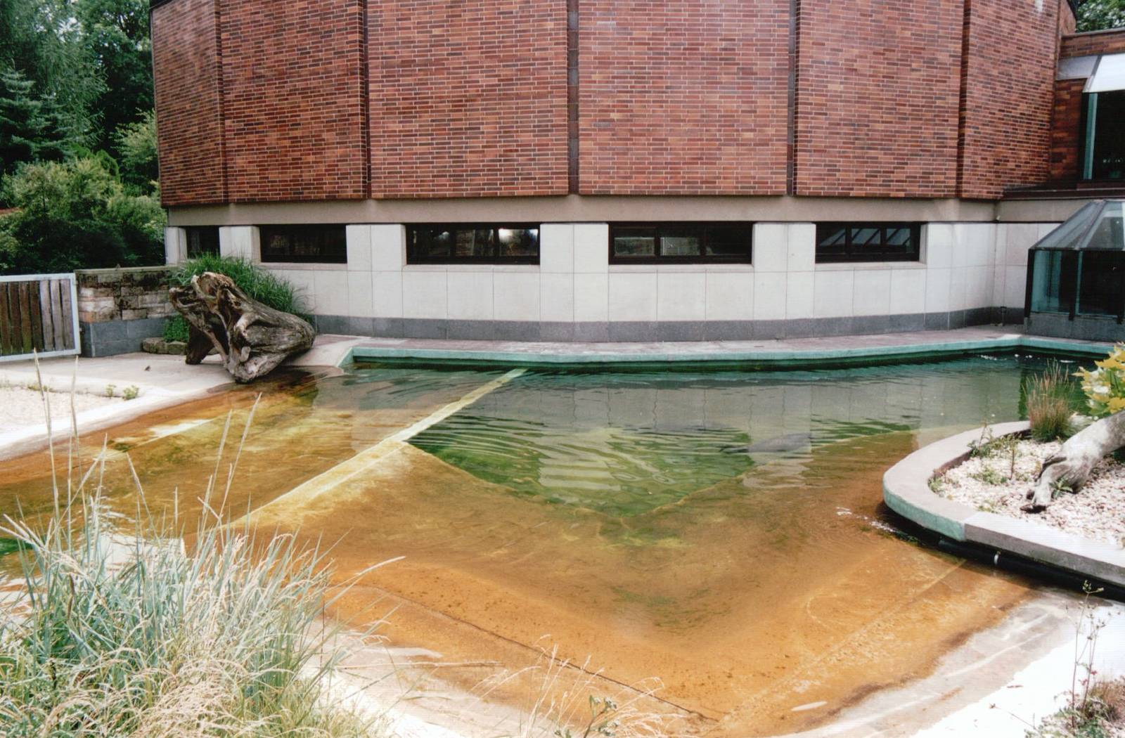 Leipzig Zoo 2002 - Baikal Seal exhibit