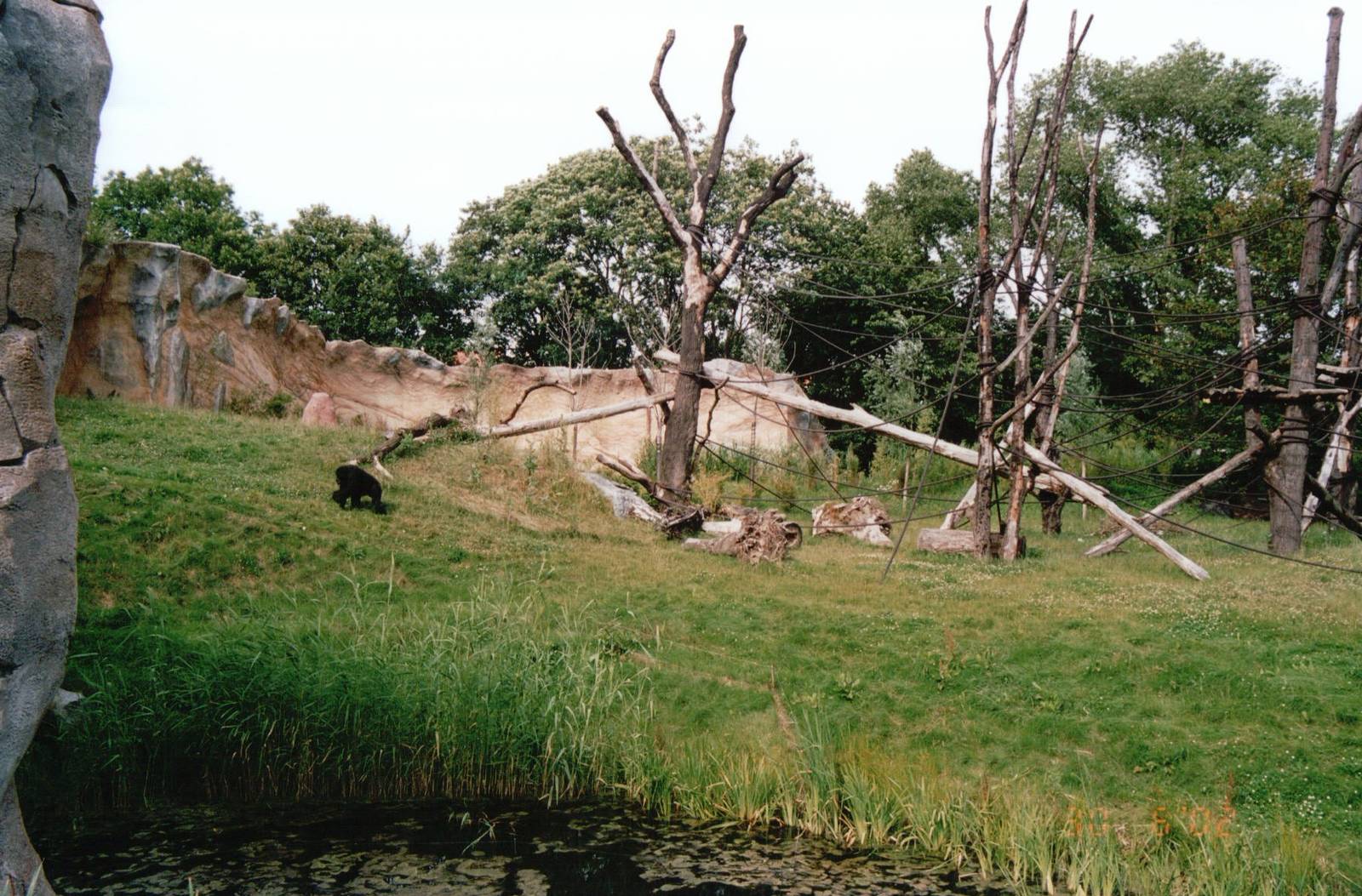 Leipzig Zoo 2002 - Chimpanzee outdoor exhibit in Pongoland