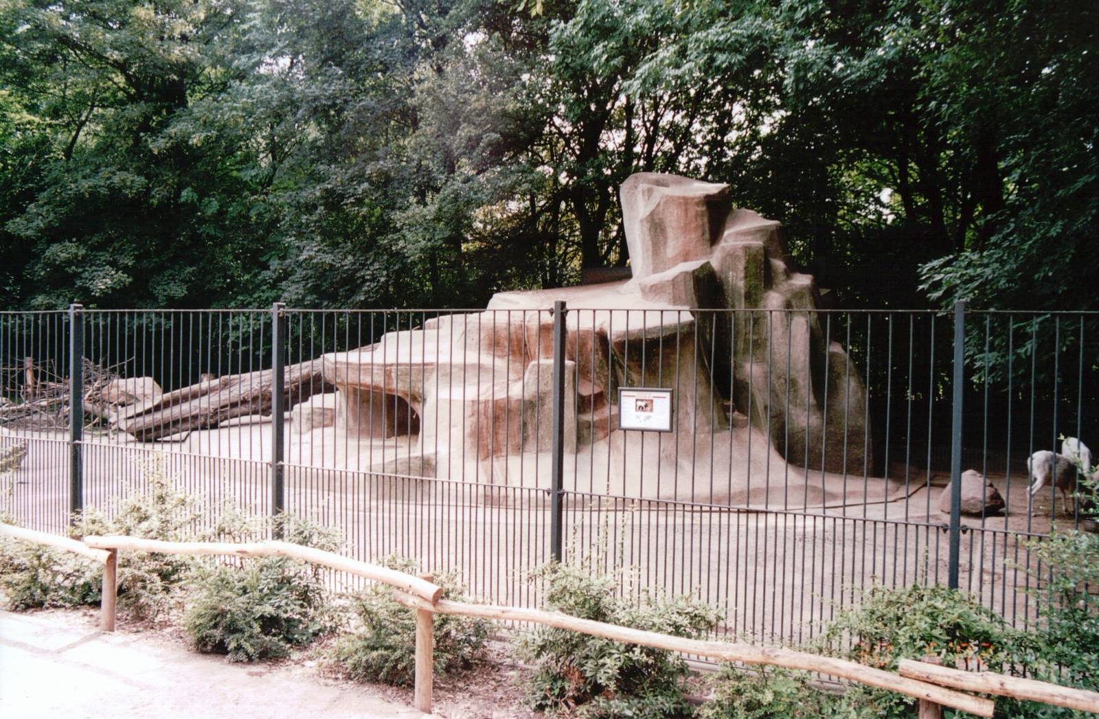 Leipzig Zoo 2002 - Dalls Sheep exhibit