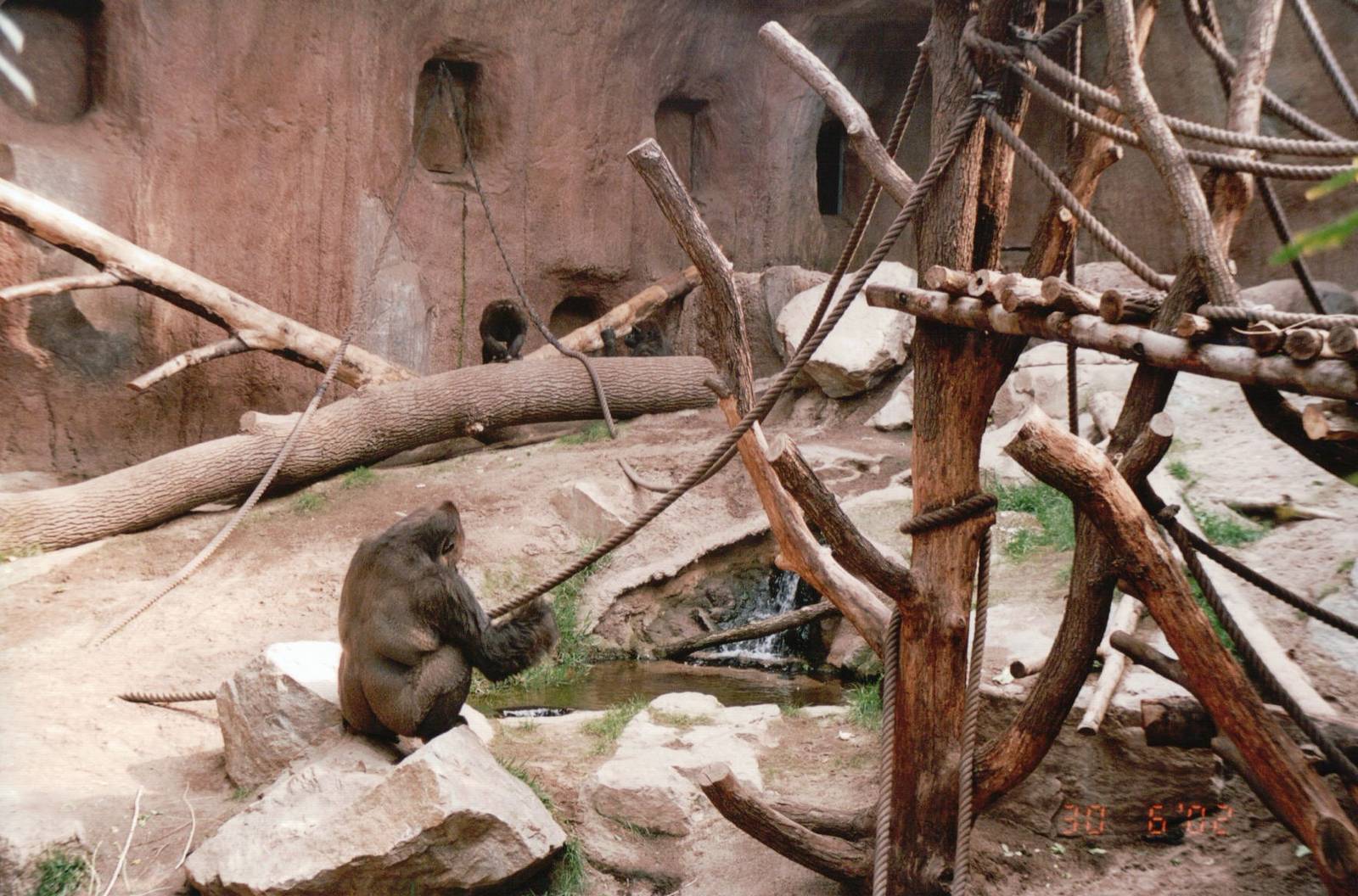 Leipzig Zoo 2002 - Gorilla indoor exhibit in Pongoland