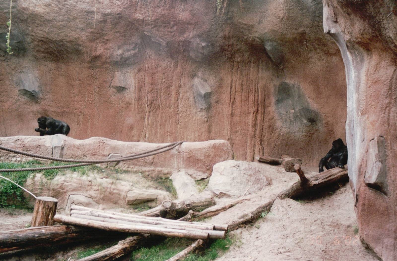 Leipzig Zoo 2002 - Gorilla indoor exhibit in Pongoland