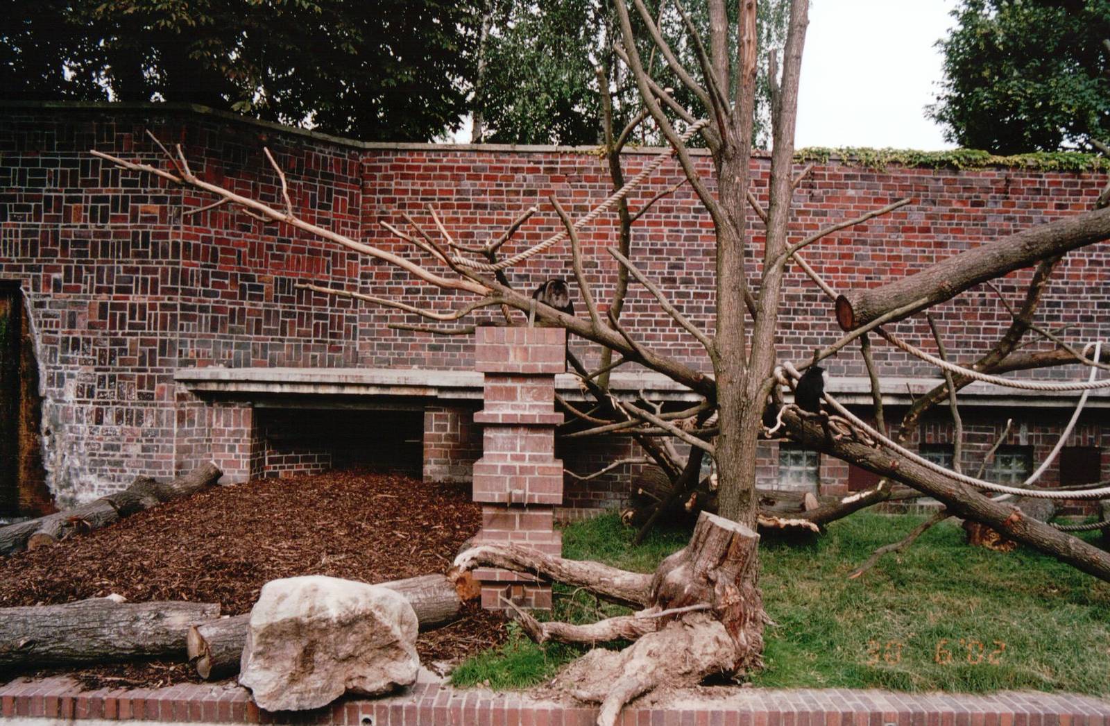 Leipzig Zoo 2002 - Left side of the Lion-tailed Macaque exhibit