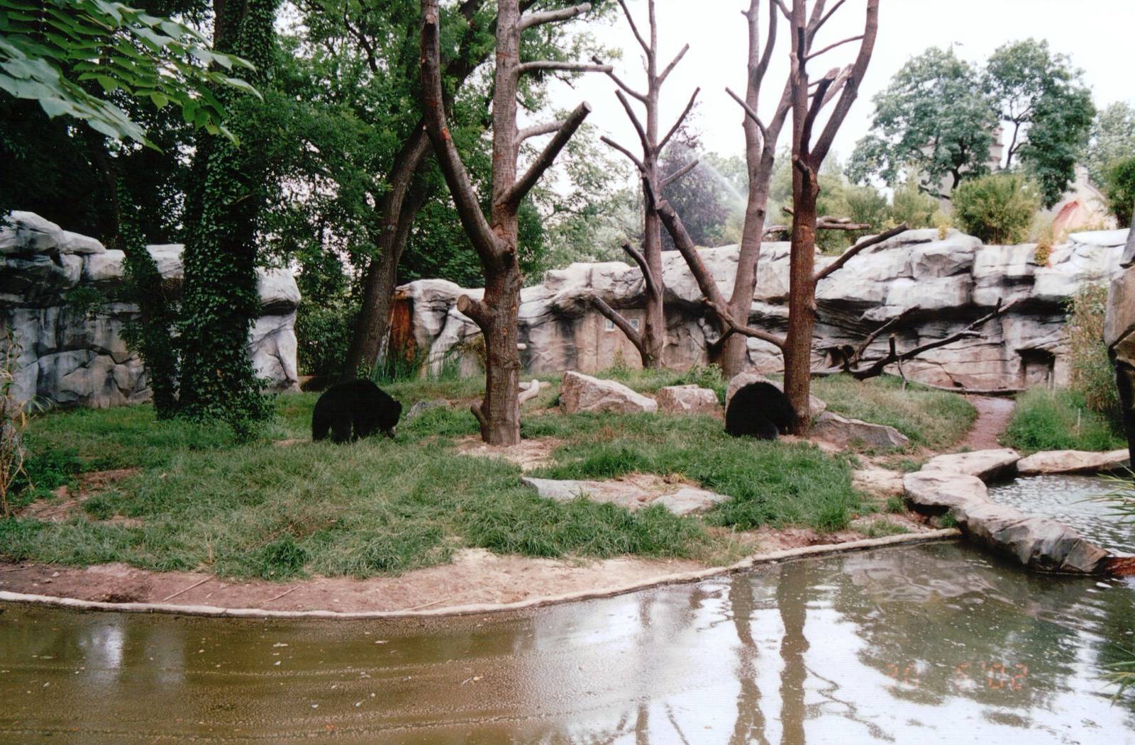 Leipzig Zoo 2002 - New exhibit for Sloth Bears