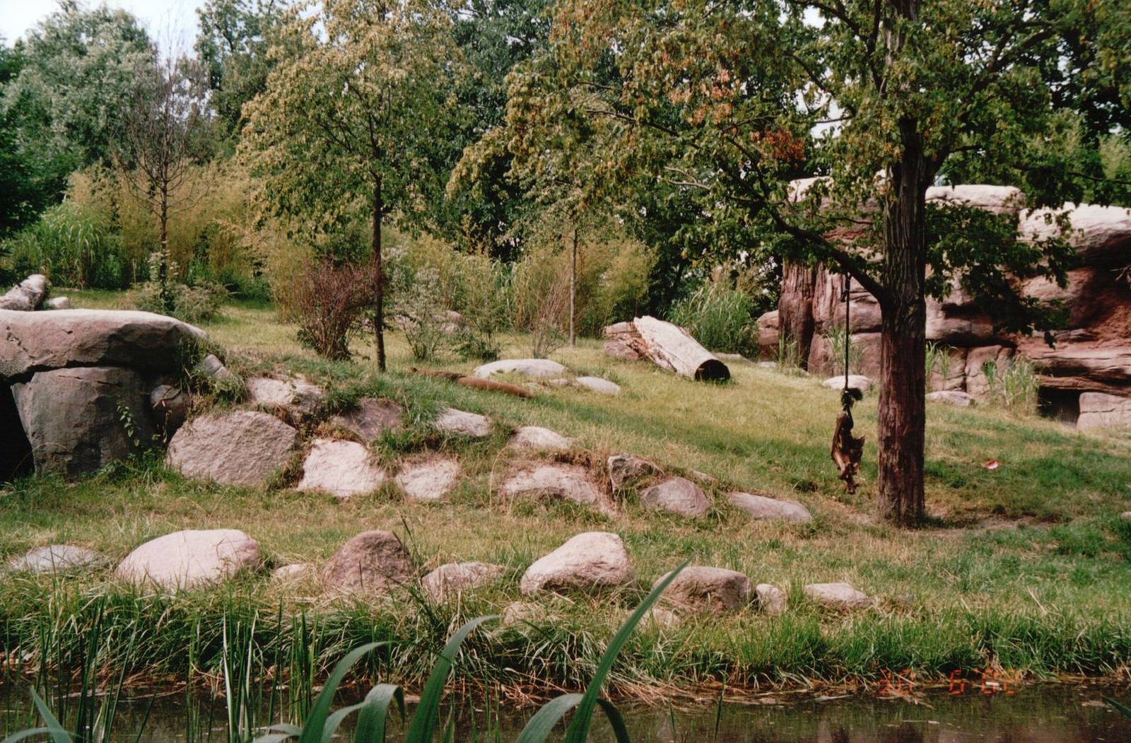 Leipzig Zoo 2002 - Part of the African Lion exhibit