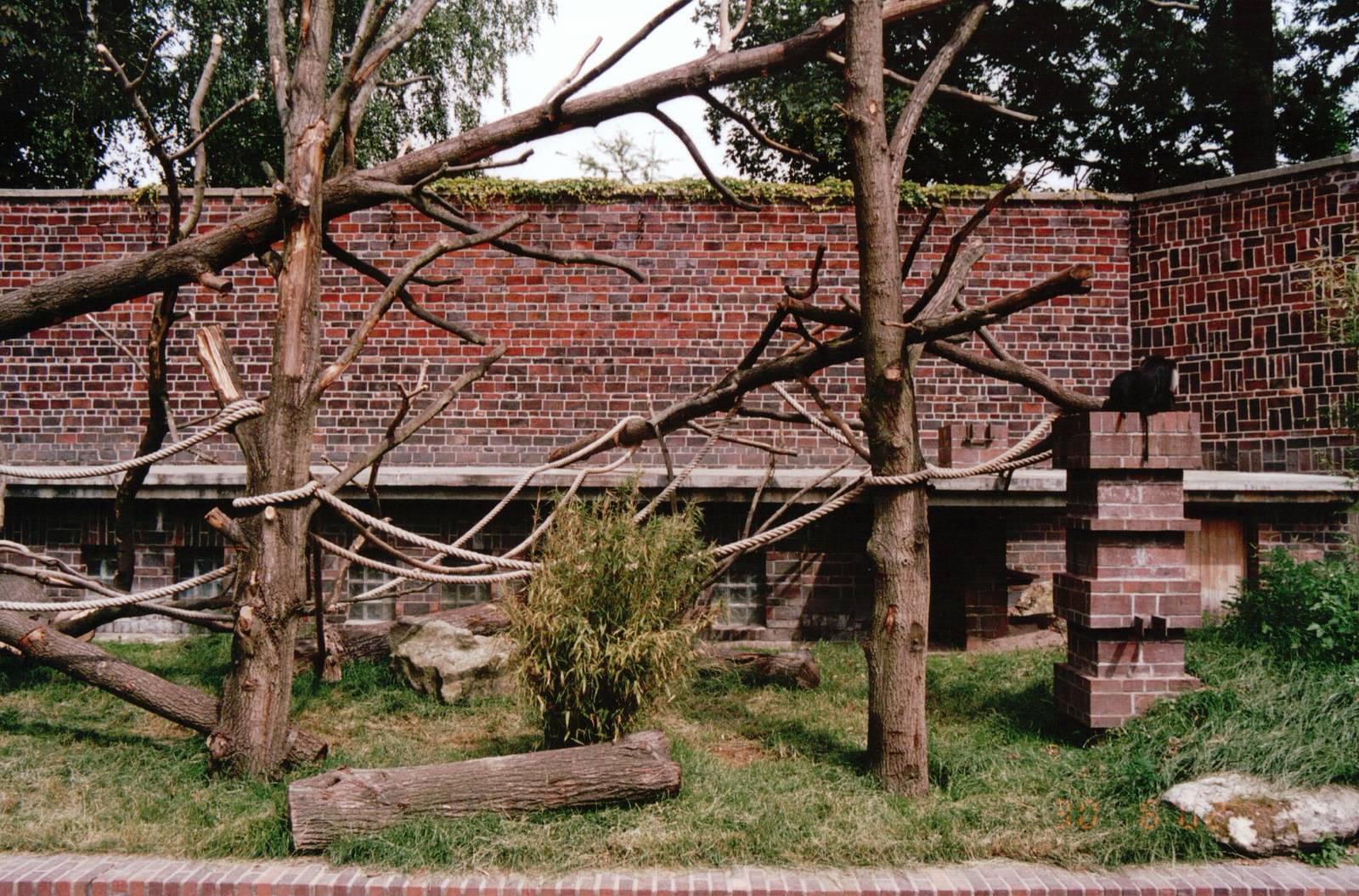 Leipzig Zoo 2002 - Right side of the Lion-tailed Macaque exhibit
