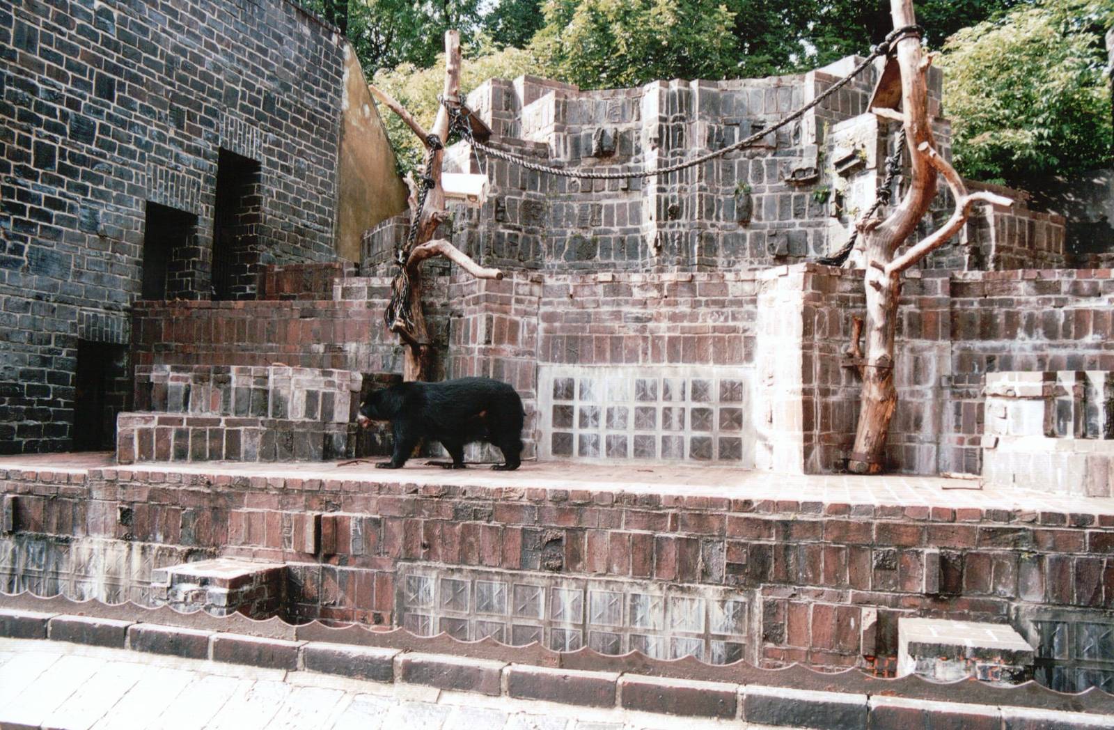 Leipzig Zoo 2002 - Spectacled Bear exhibit