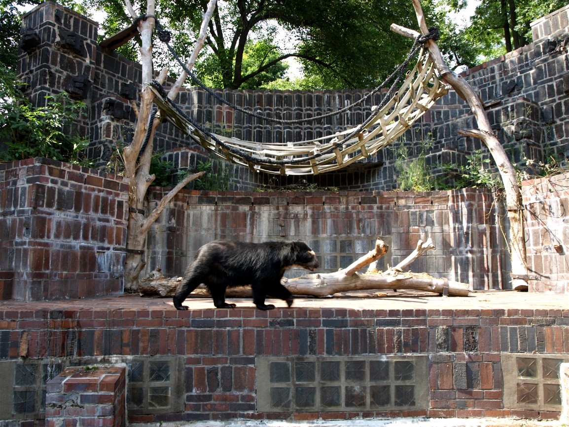 Leipzig Zoo - Bear Castle