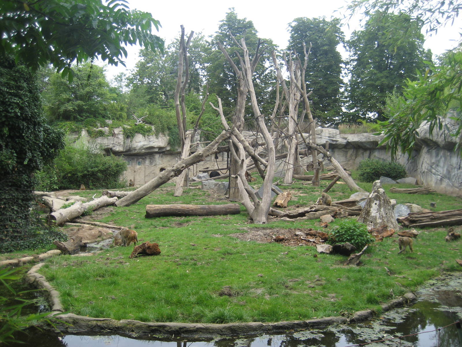 Leipzig Zoo - Bear/monkey exhibit