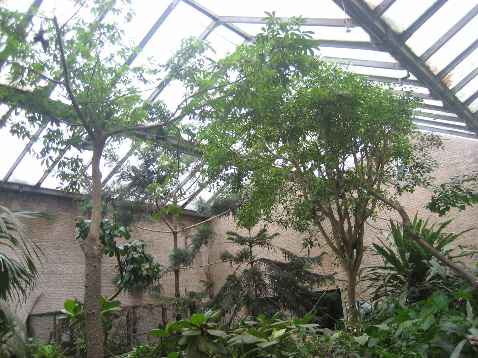 Leipzig Zoo - Bird house