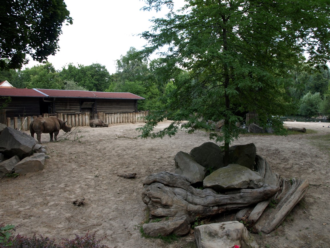 Leipzig Zoo - Black rhino enclosure