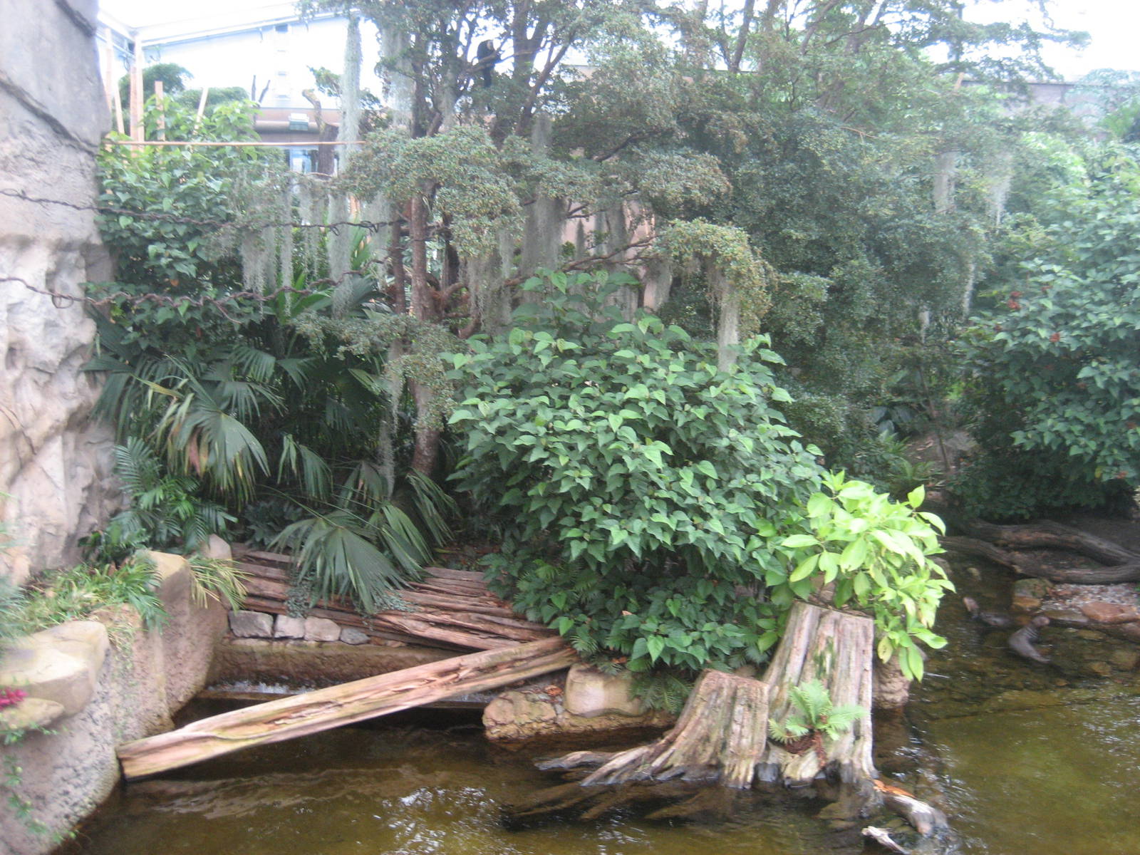 Leipzig Zoo - Giant otter/saki exhibit