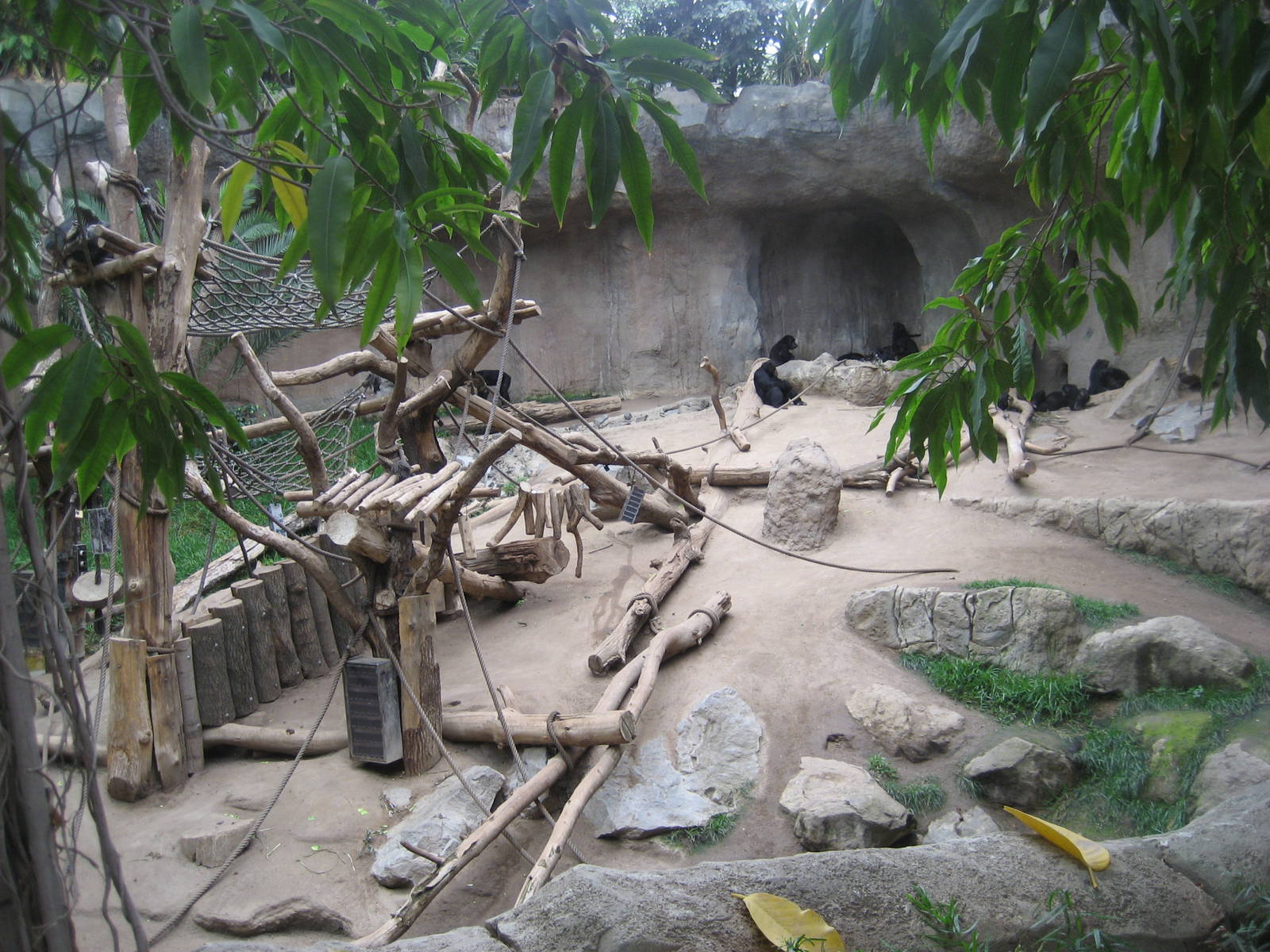 Leipzig Zoo - Pongoland (Chimpanzee exhibit)