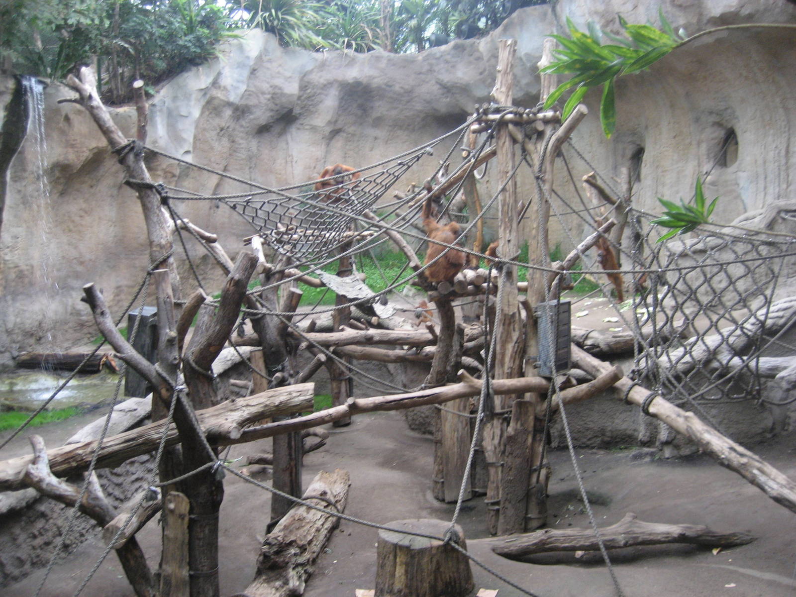 Leipzig Zoo - Pongoland (Orangutan indoor)