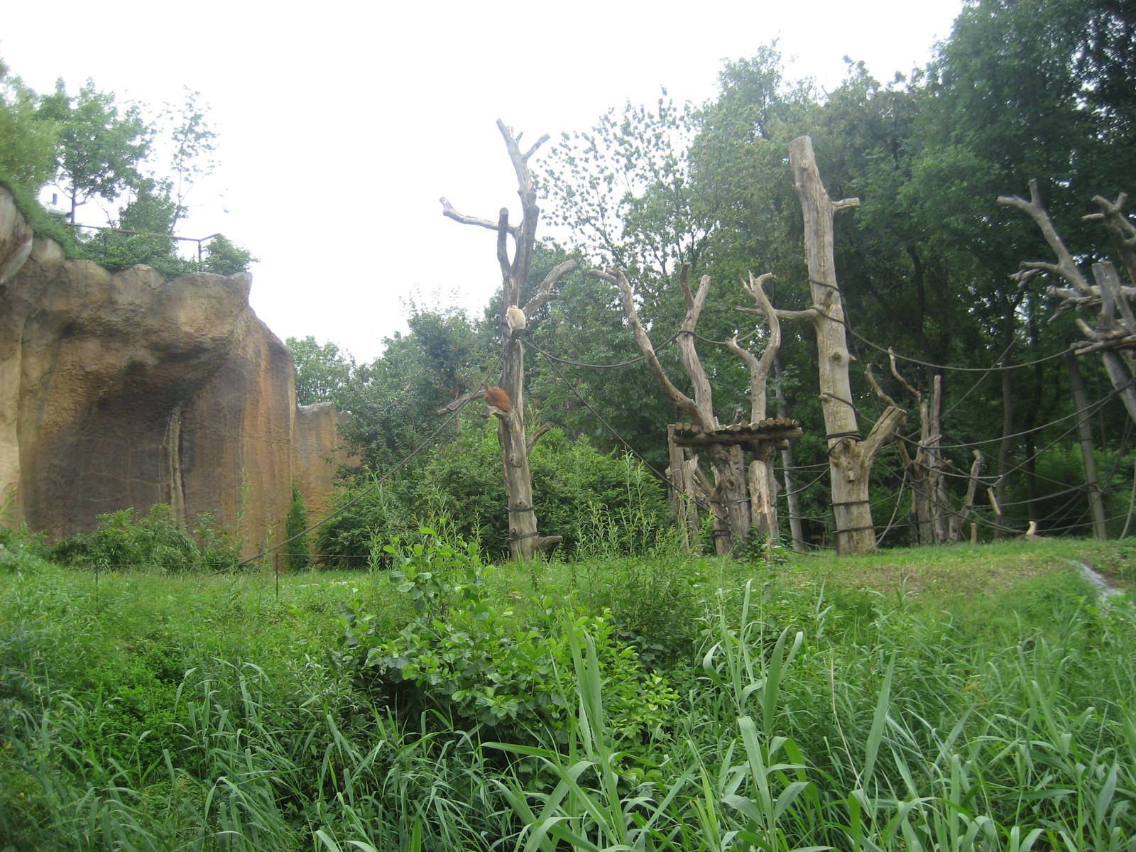 Leipzig Zoo - Pongoland (Orangutan outdoor)