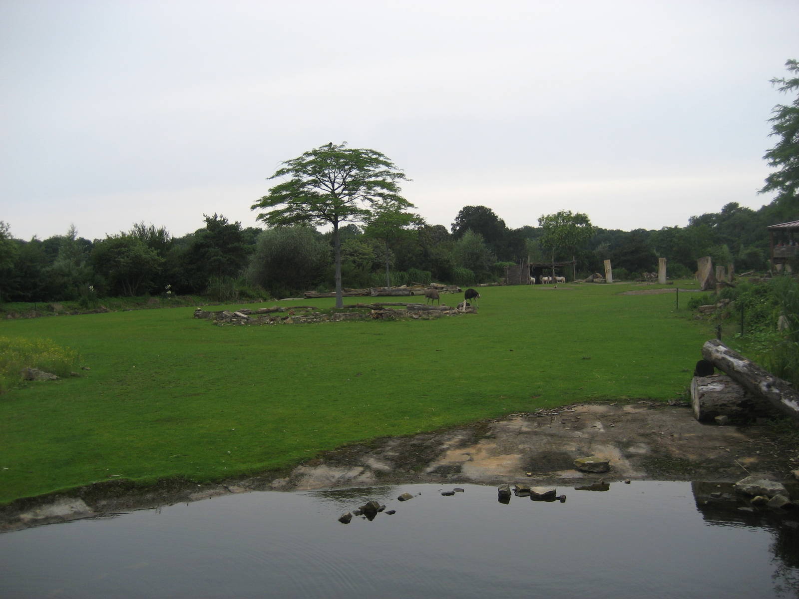 Leipzig Zoo - Savannah exhibit