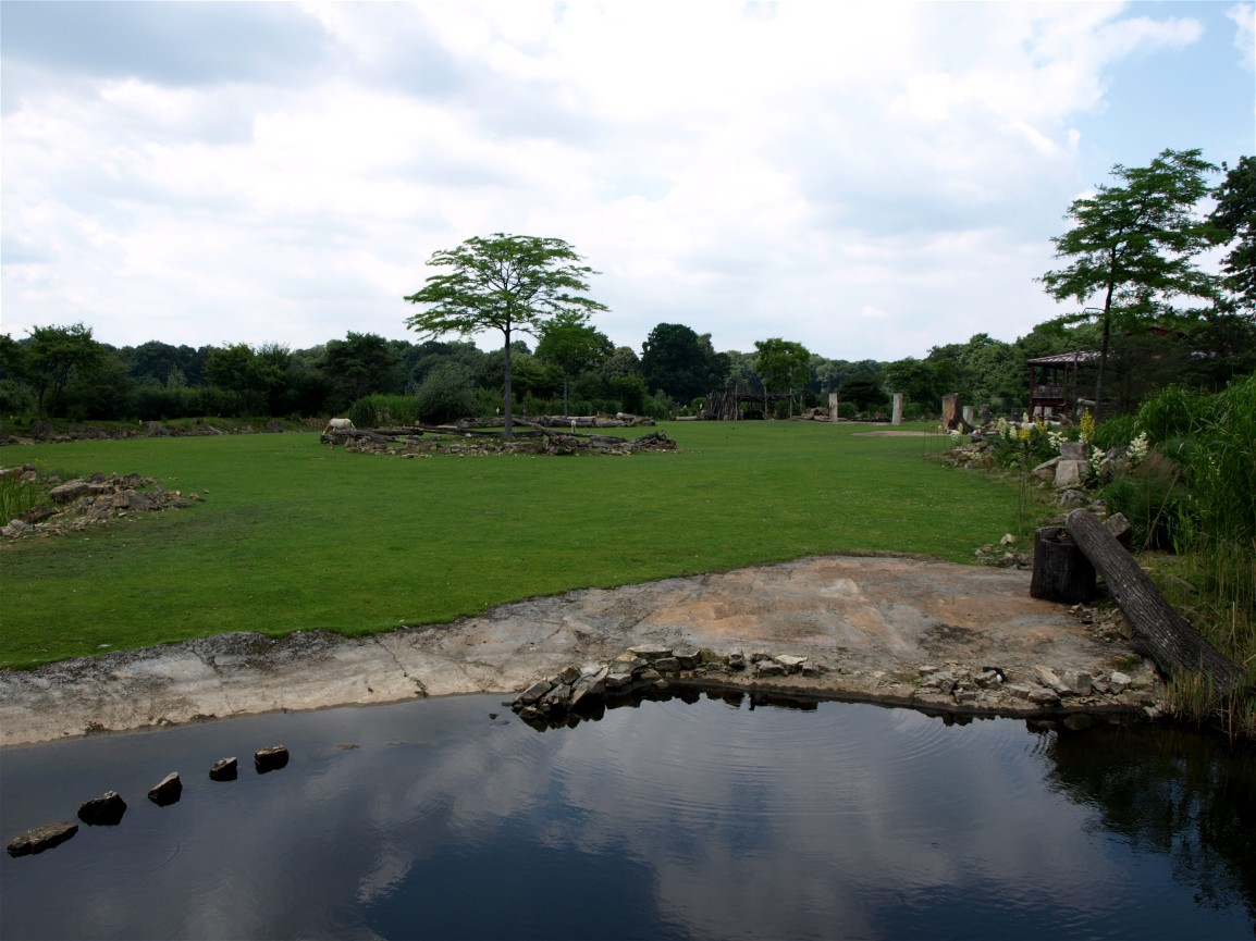 Leipzig Zoo - Savannah